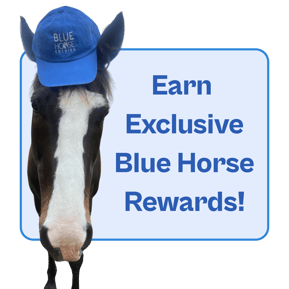 Earn Exclusive Blue Horse Rewards