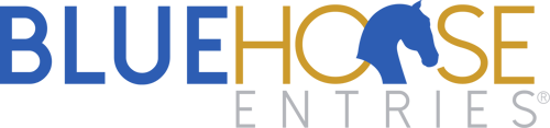 bhe primary logo-1