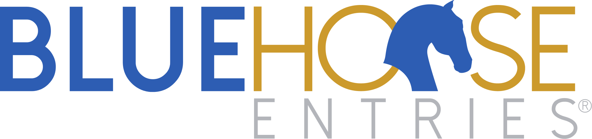 bhe primary logo-1